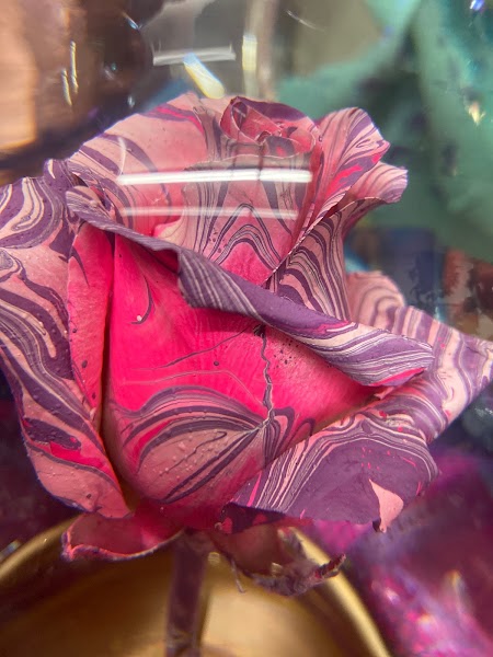 Beautiful wrapped bouquet